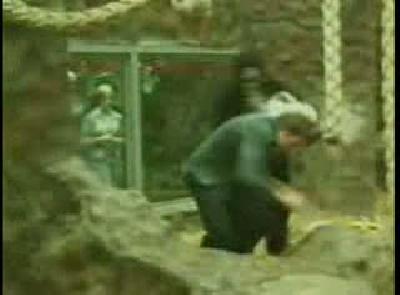 zoo