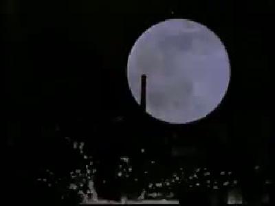 yamyam boga kurbagasi