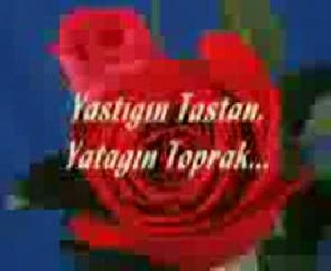 sibel can