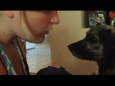 Kızı dudaktan öpen köpek
