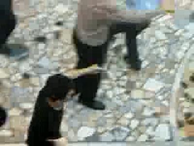pusacık köyü sünnet