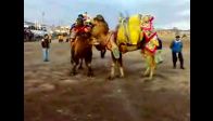 video ayvacık