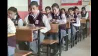 video eğitim, domuz gribi