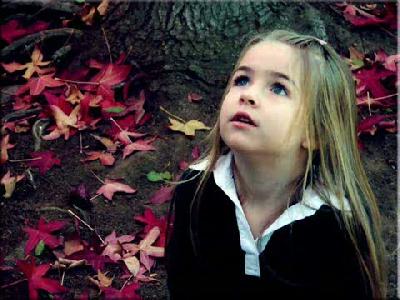 Seyfi Doganay Yaban Eller