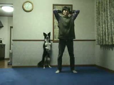 aerobik yapan köpek