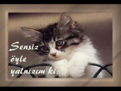 hatice-yalan