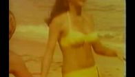 victoria principal