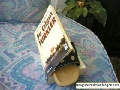 çılgın türkler
