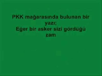 bordo bereliler