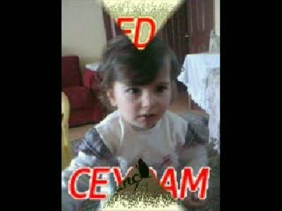 eda seda ceyda