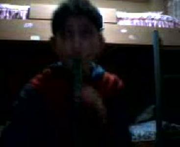 flüt show