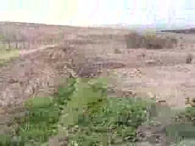 ceviz bahçemiz