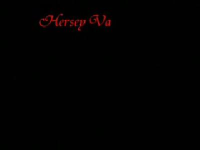 her sey vatan icin...