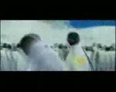 penguenler kolbasti oynuyor