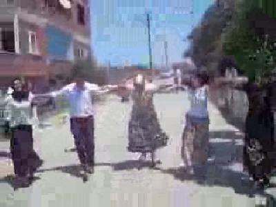 gogo