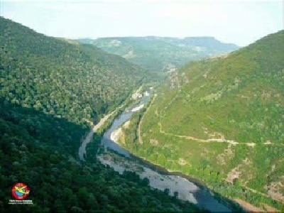 karabük / yeşil yenice