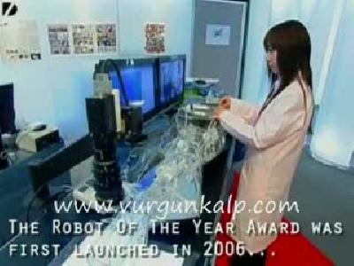 japon robotları