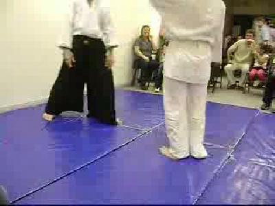 sakarya aikido