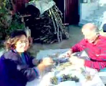 anbarlı hamsi partisi