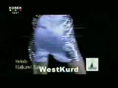 kürt şakira(kurdish shakira)