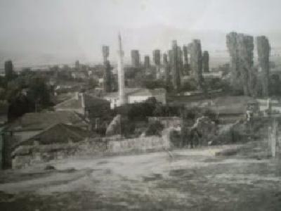 zhitoshe