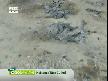 Arka Sıradakiler 113.Bölüm 2.Kısım