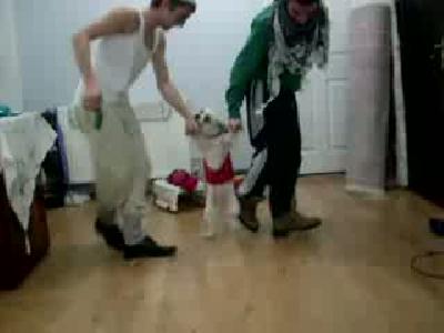 halay! Şemmame xd