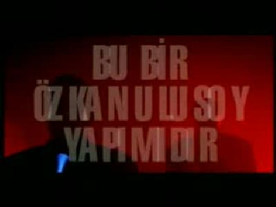 ege çubukçu