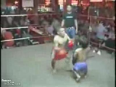 cücelerİn boks maçi kisa olanin