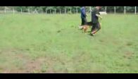 video 2009 seget macaristan Şampiyonası - part 1